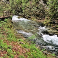 Soutěska Vintgar (Slovinsko, Triglavský národní park)