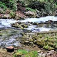 Soutěska Vintgar (Slovinsko, Triglavský národní park)