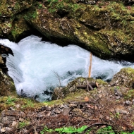 Soutěska Vintgar (Slovinsko, Triglavský národní park)