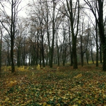 Starý bohnický hřbitov
