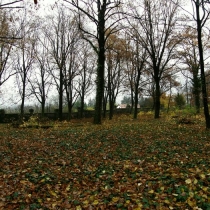 Starý bohnický hřbitov