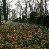 Starý bohnický hřbitov