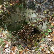 Starý bohnický hřbitov