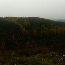 Starý bohnický hřbitov