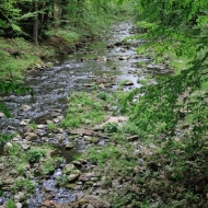 stradov_03