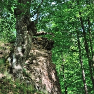 stradov_10