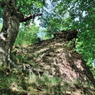 stradov_11