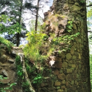 stradov_14