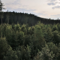 Strážný vrch - rozhledna