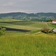 stredni-slovinsko_21