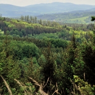 Cestou okolo Svobodné hory