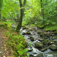 Terčino údolí - Stropnice