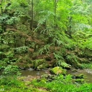 Terčino údolí - údolí Stropnice