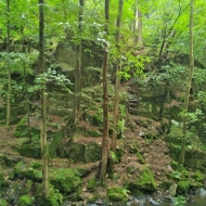 Terčino údolí - údolí Stropnice