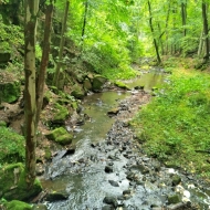 Terčino údolí - Stropnice