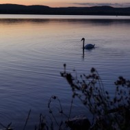 balaton_07