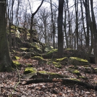 tisa-skala_01