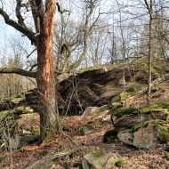 tisa-skala_05