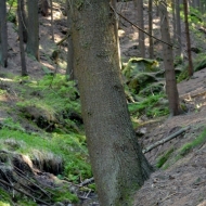 Toulovcovy maštale