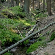 Toulovcovy maštale