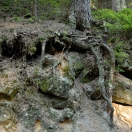 Toulovcovy maštale
