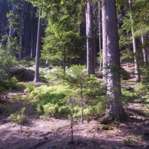 Toulovcovy maštale