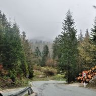 cesta-pres-julske-alpy_04