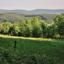 Trniště a Harcovský les (Jizerské hory)