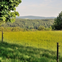 Trniště a Harcovský les (Jizerské hory)