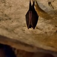 jeskyne-na-turoldu_07