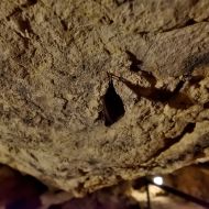 jeskyne-na-turoldu_17