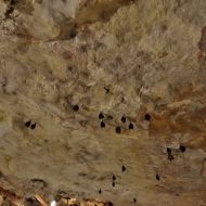 jeskyne-na-turoldu_23