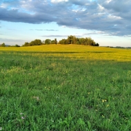 vyhlidka-u-bruntalu_07