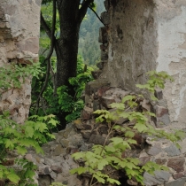 zřícenina hradu Valdek