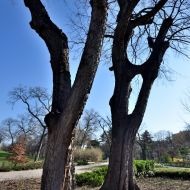 budapest-varosliget-hriste_05