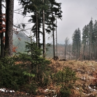 vartovna_10