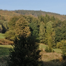 Na Velkou Čantoryji (995 m. n. m.) z Nýdku