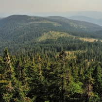 Velký Javor / Großer Arber