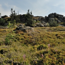 Velký Javor / Großer Arber