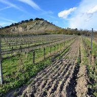 Pálava - lom Perná u Klentnice