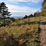 Pálava - cesta z Klentnice k Velkému špuntu