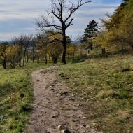 Pálava - cesta z Klentnice k Velkému špuntu