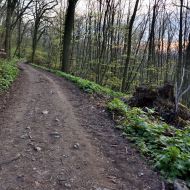 Pálava - poslední kilometry k Děvičkám