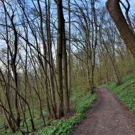 Pálava - poslední kilometry k Děvičkám