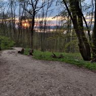 Pálava - poslední kilometry k Děvičkám