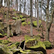 Vlčí rokle (Horní Požáry)