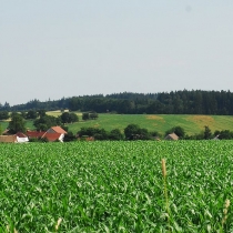 u rozhledny Vojenice