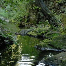 Vrchlické vodopády u Kutné Hory