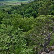 lichnice-vyhlidka_03