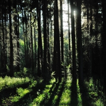 Vysoký vrch